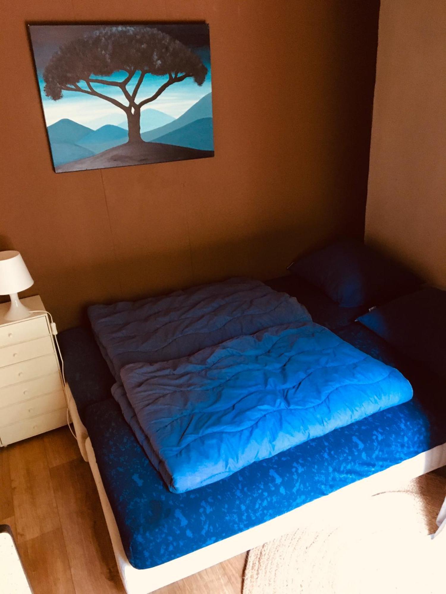 Basic Lodge In Nature Schagerbrug Екстериор снимка