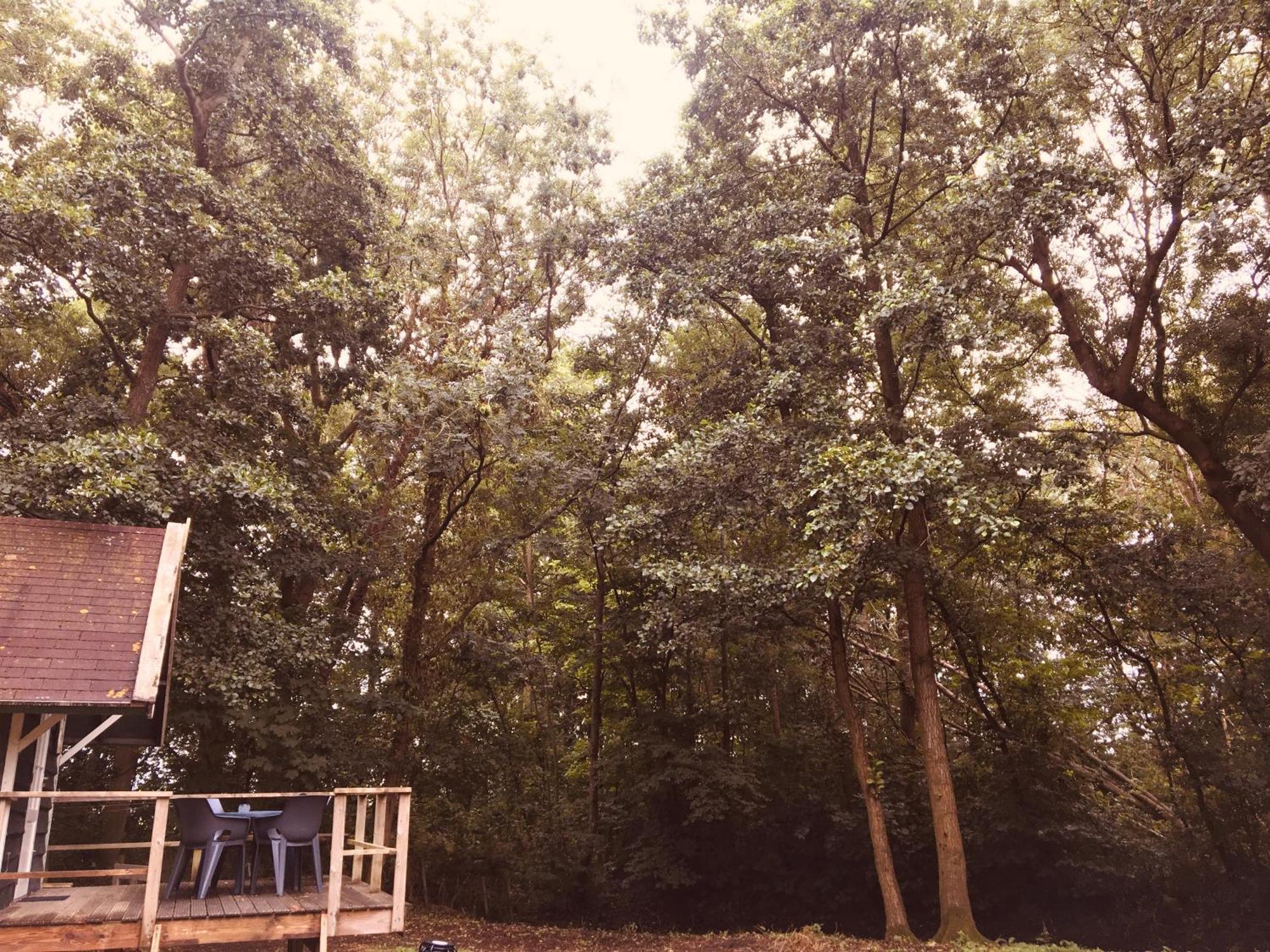 Basic Lodge In Nature Schagerbrug Екстериор снимка